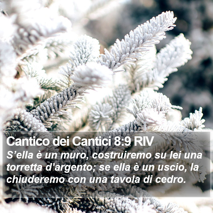 Cantico dei Cantici 8:9 RIV Bible Study