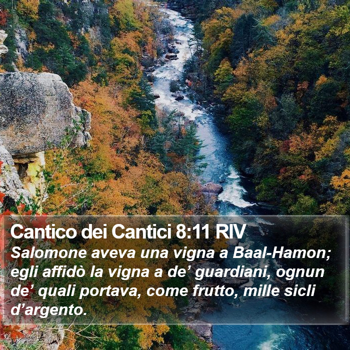 Cantico dei Cantici 8:11 RIV Bible Study