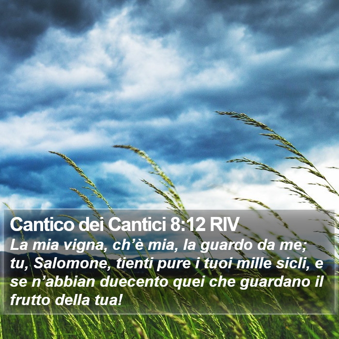 Cantico dei Cantici 8:12 RIV Bible Study