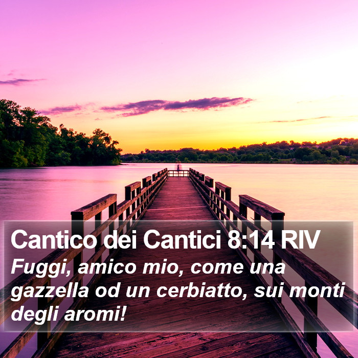 Cantico dei Cantici 8:14 RIV Bible Study