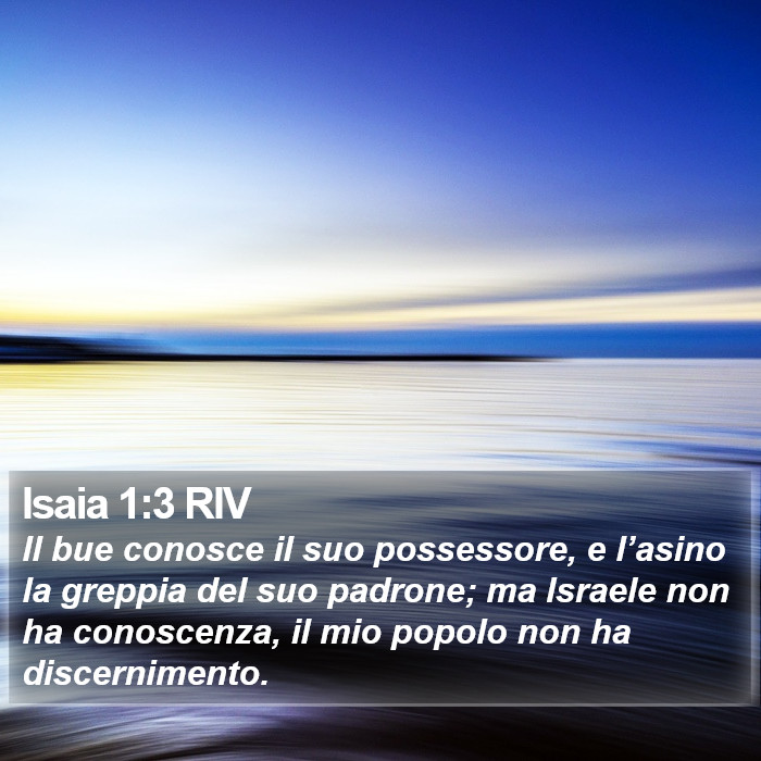 Isaia 1:3 RIV Bible Study