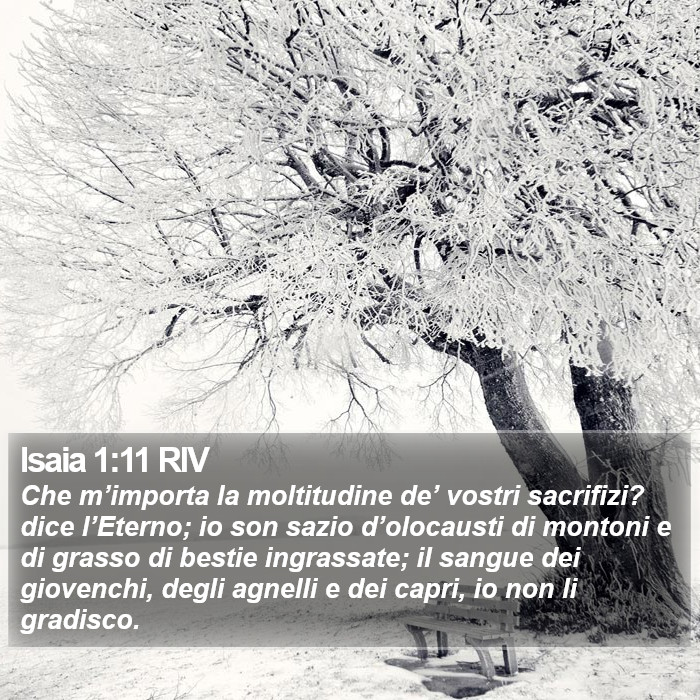 Isaia 1:11 RIV Bible Study