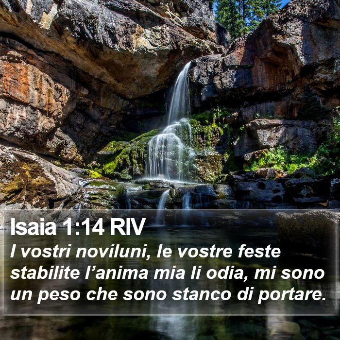 Isaia 1:14 RIV Bible Study