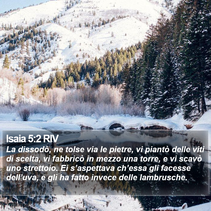 Isaia 5:2 RIV Bible Study
