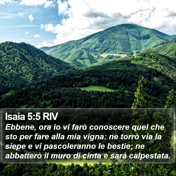Isaia 5:5 RIV Bible Study