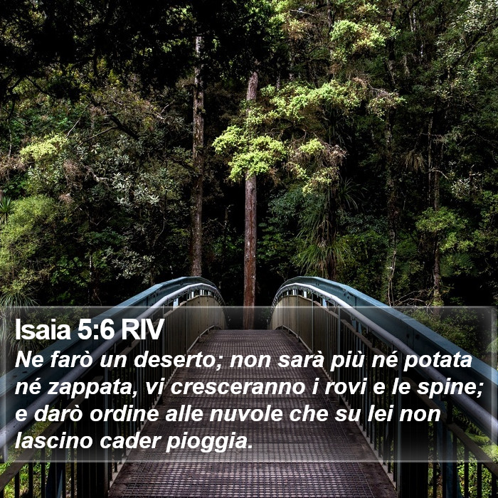 Isaia 5:6 RIV Bible Study
