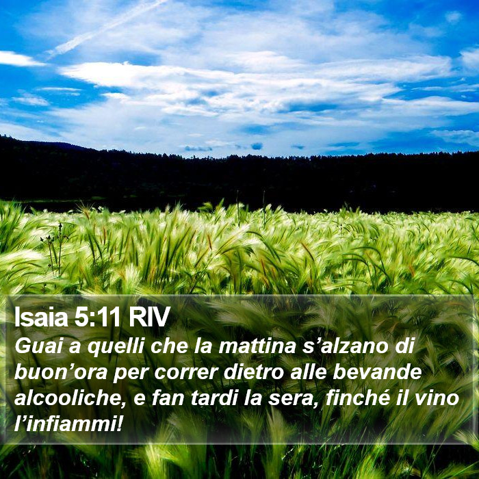 Isaia 5:11 RIV Bible Study