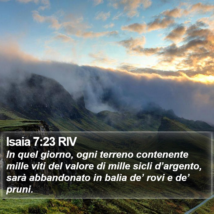 Isaia 7:23 RIV Bible Study
