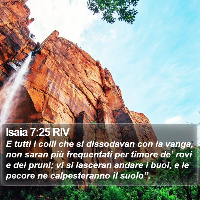 Isaia 7:25 RIV Bible Study