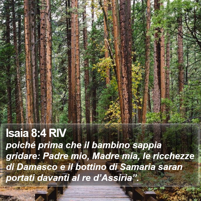 Isaia 8:4 RIV Bible Study