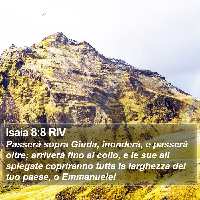 Isaia 8:8 RIV Bible Study
