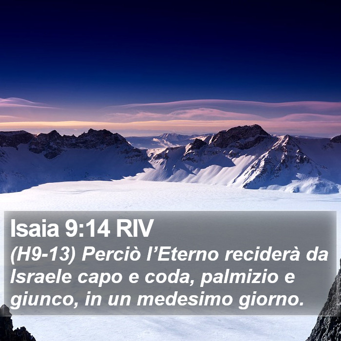 Isaia 9:14 RIV Bible Study