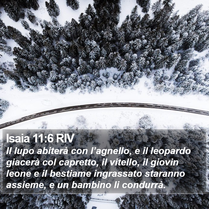 Isaia 11:6 RIV Bible Study