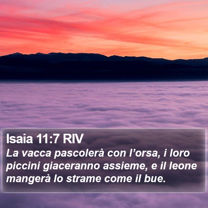 Isaia 11:7 RIV Bible Study