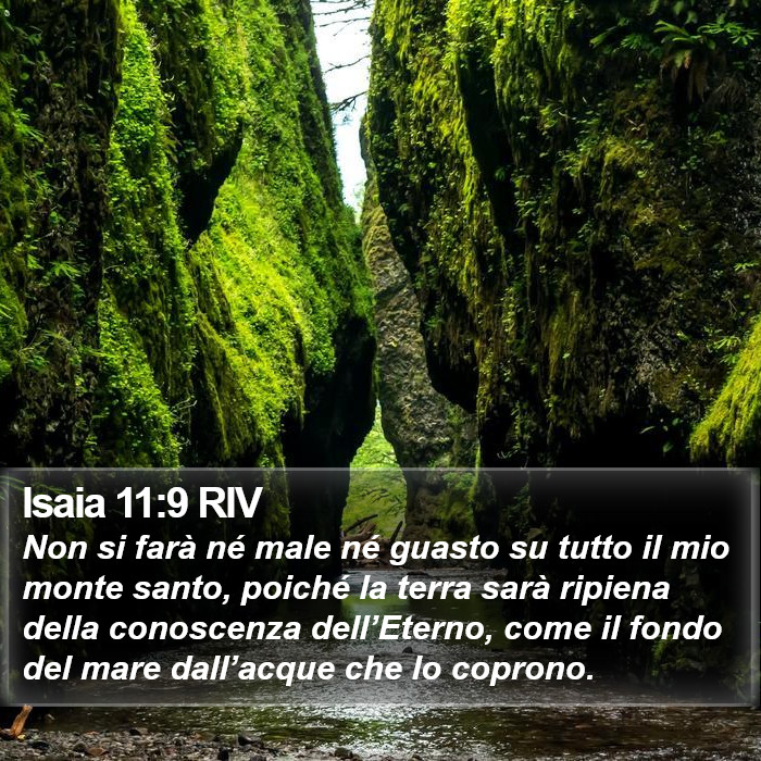 Isaia 11:9 RIV Bible Study