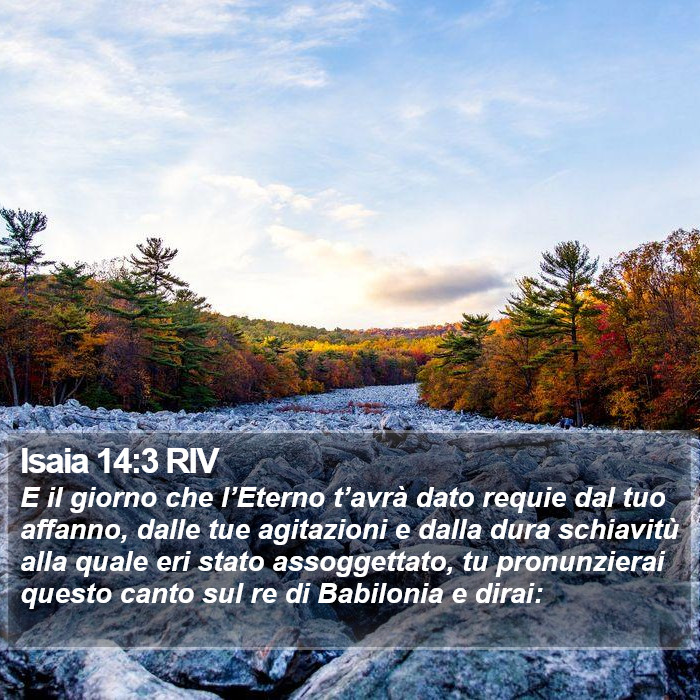 Isaia 14:3 RIV Bible Study