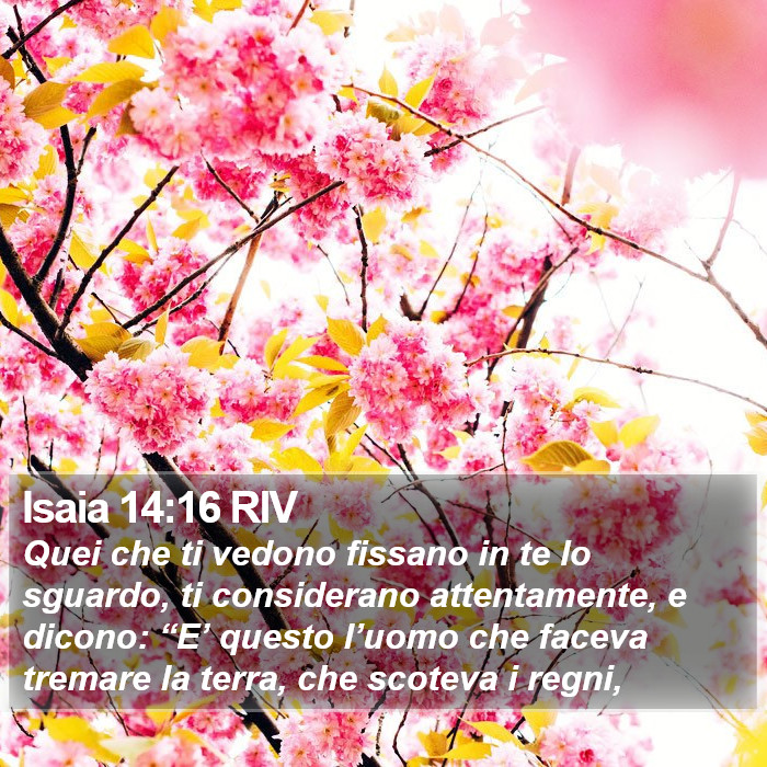 Isaia 14:16 RIV Bible Study