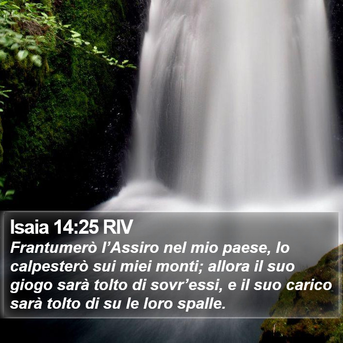 Isaia 14:25 RIV Bible Study