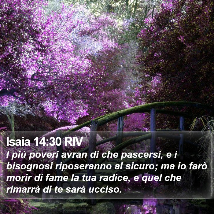 Isaia 14:30 RIV Bible Study