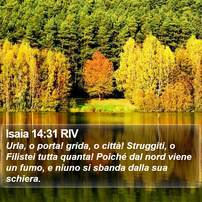 Isaia 14:31 RIV Bible Study