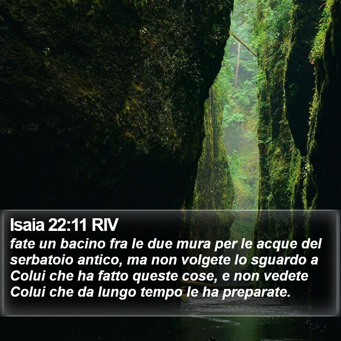Isaia 22:11 RIV Bible Study