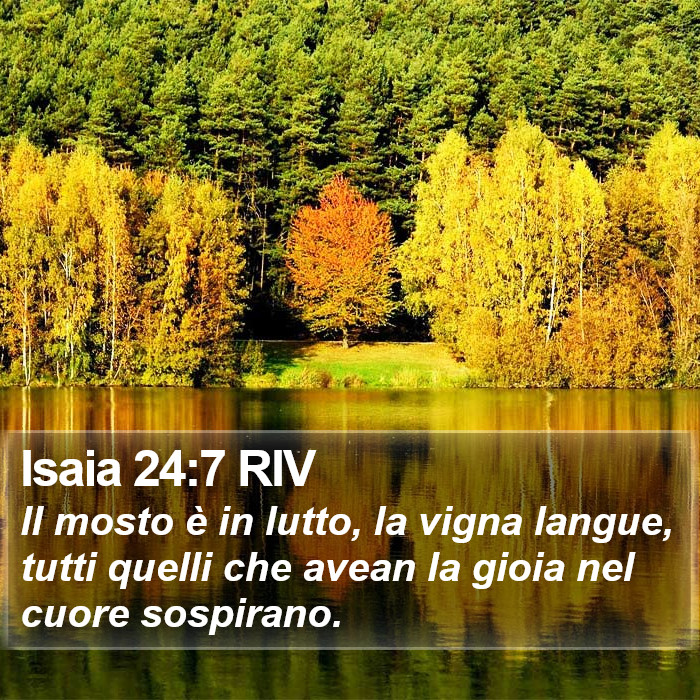 Isaia 24:7 RIV Bible Study