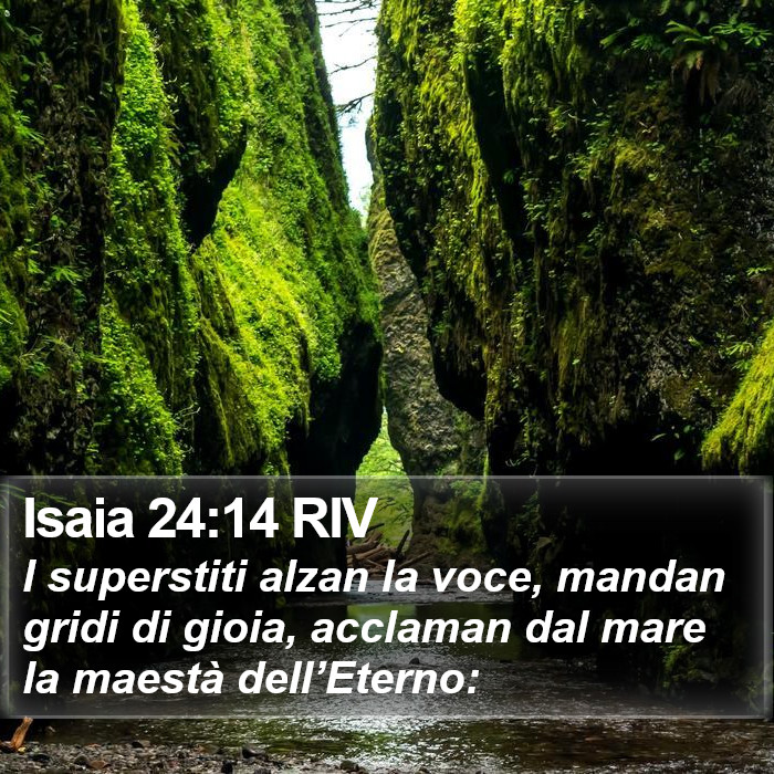 Isaia 24:14 RIV Bible Study