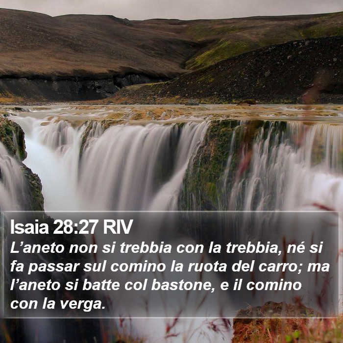 Isaia 28:27 RIV Bible Study
