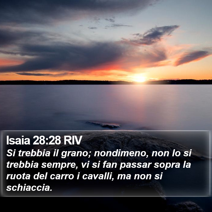 Isaia 28:28 RIV Bible Study