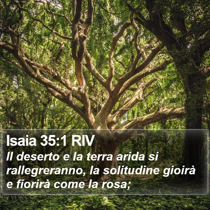 Isaia 35:1 RIV Bible Study