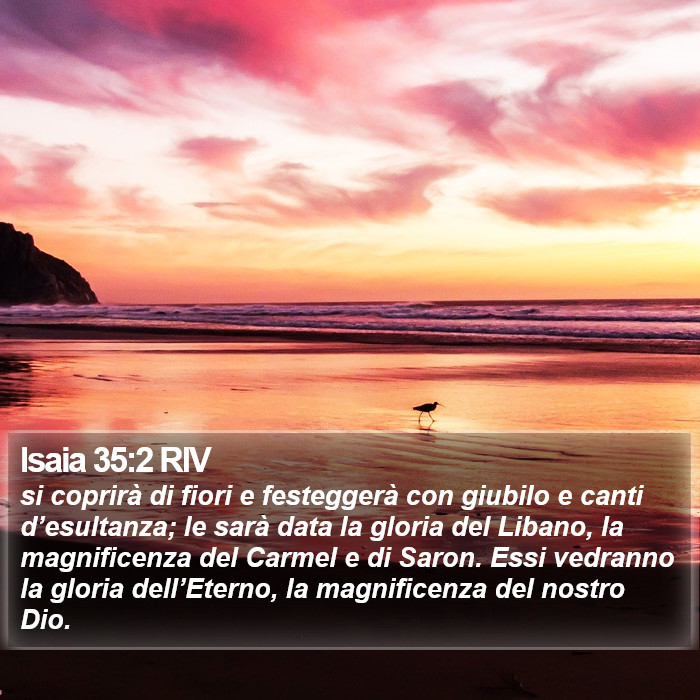 Isaia 35:2 RIV Bible Study