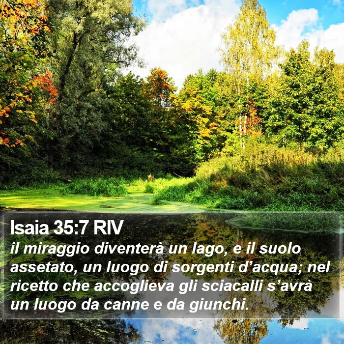 Isaia 35:7 RIV Bible Study