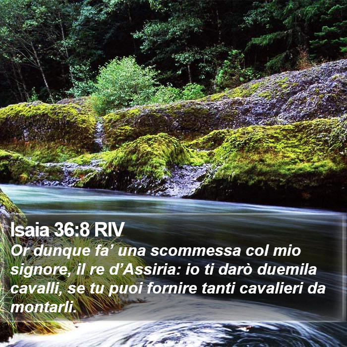 Isaia 36:8 RIV Bible Study