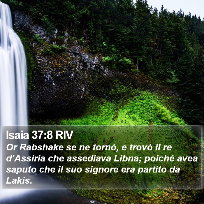 Isaia 37:8 RIV Bible Study
