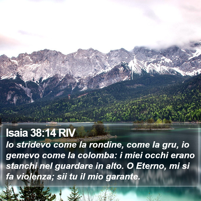 Isaia 38:14 RIV Bible Study