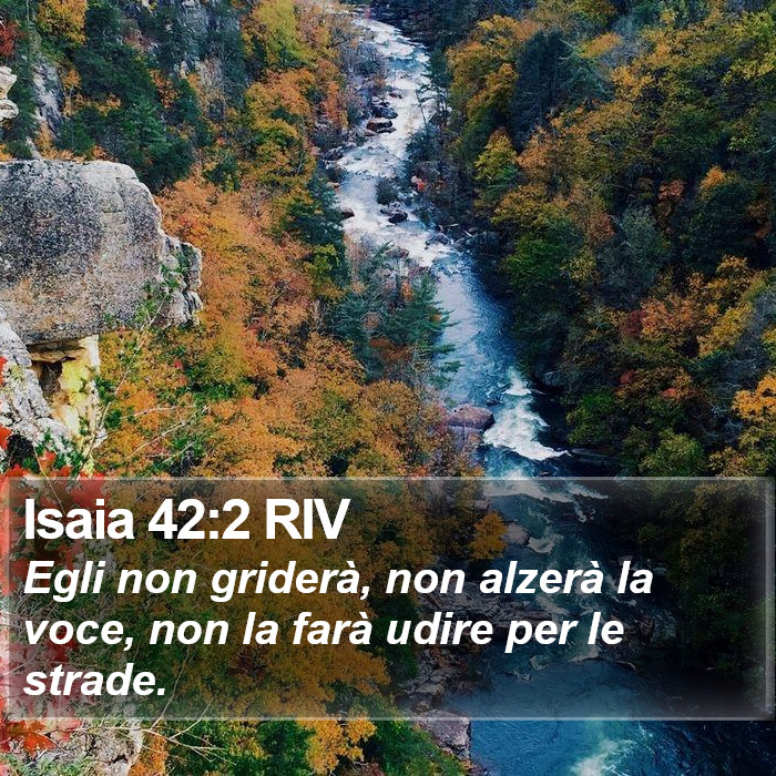 Isaia 42:2 RIV Bible Study