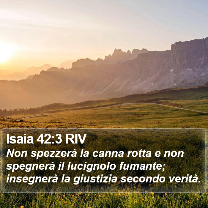 Isaia 42:3 RIV Bible Study