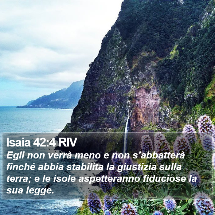 Isaia 42:4 RIV Bible Study