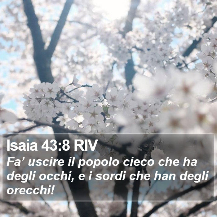 Isaia 43:8 RIV Bible Study