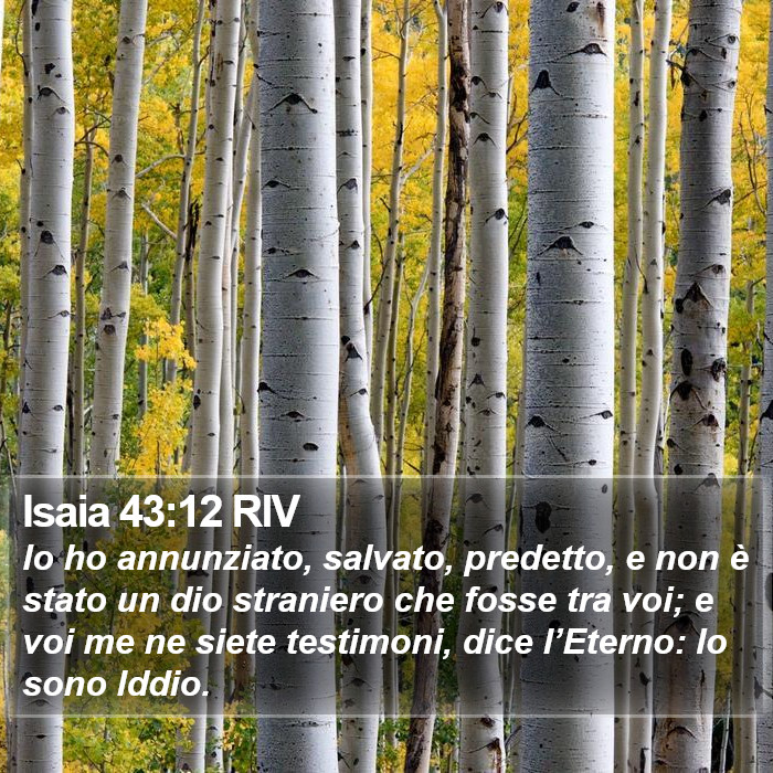 Isaia 43:12 RIV Bible Study