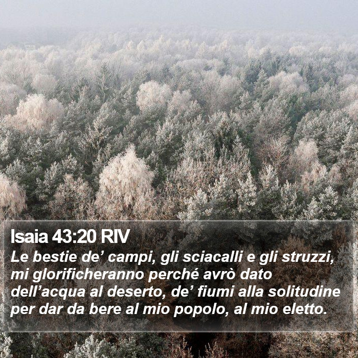 Isaia 43:20 RIV Bible Study