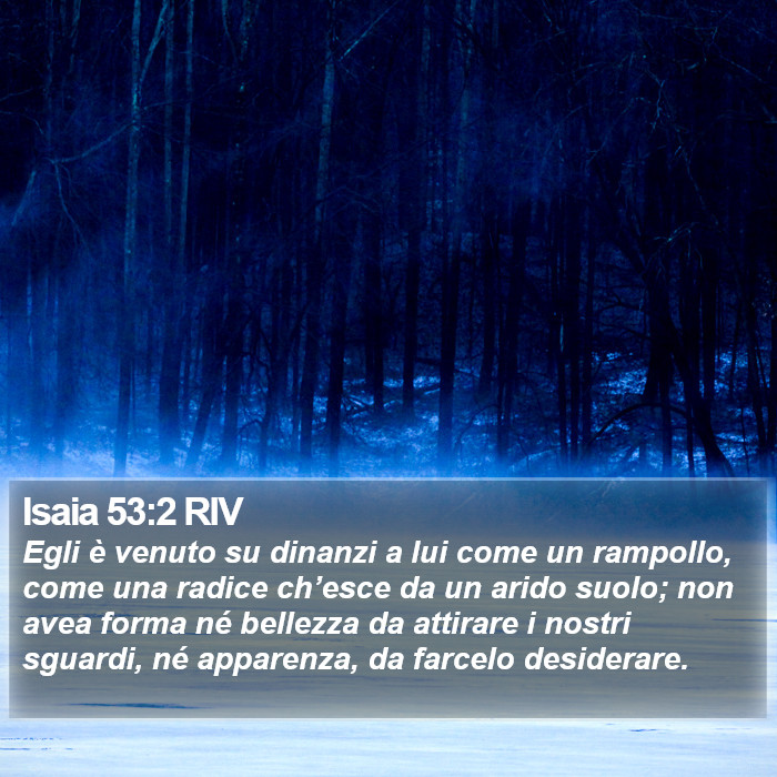 Isaia 53:2 RIV Bible Study