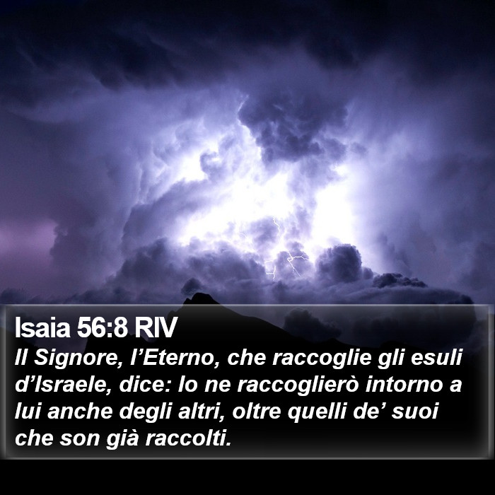 Isaia 56:8 RIV Bible Study