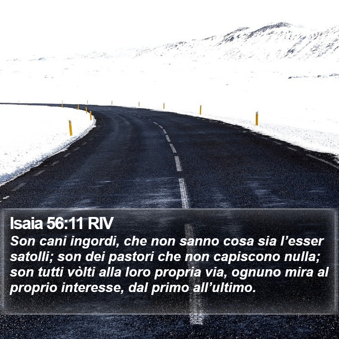 Isaia 56:11 RIV Bible Study