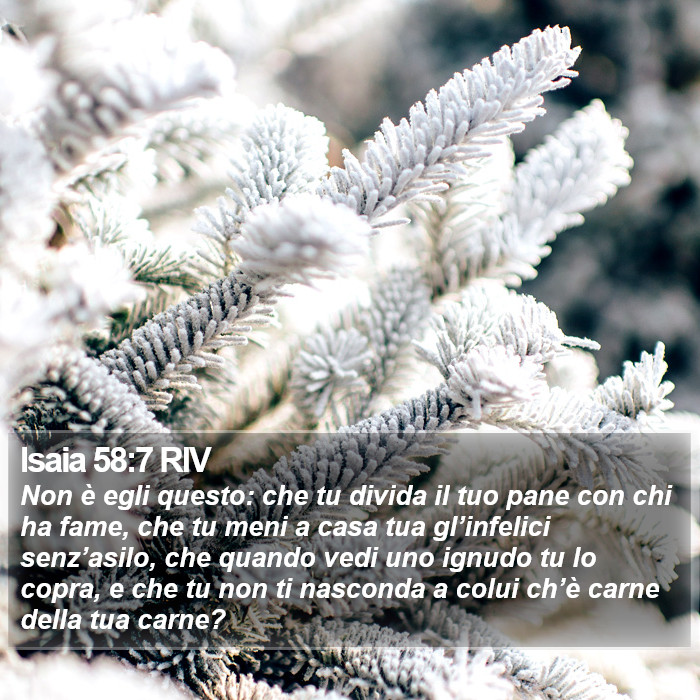 Isaia 58:7 RIV Bible Study