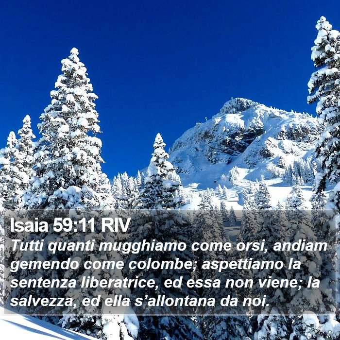 Isaia 59:11 RIV Bible Study