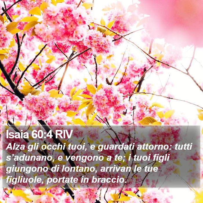 Isaia 60:4 RIV Bible Study