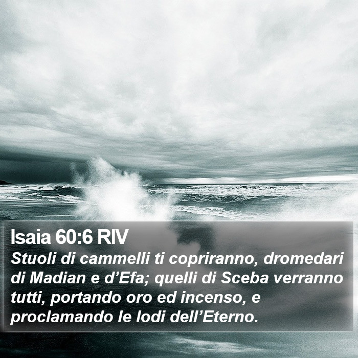Isaia 60:6 RIV Bible Study