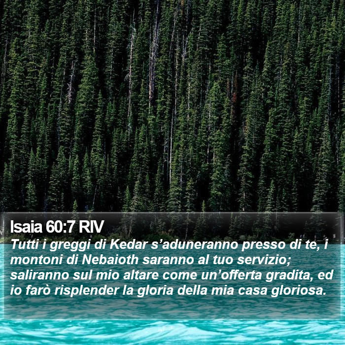 Isaia 60:7 RIV Bible Study