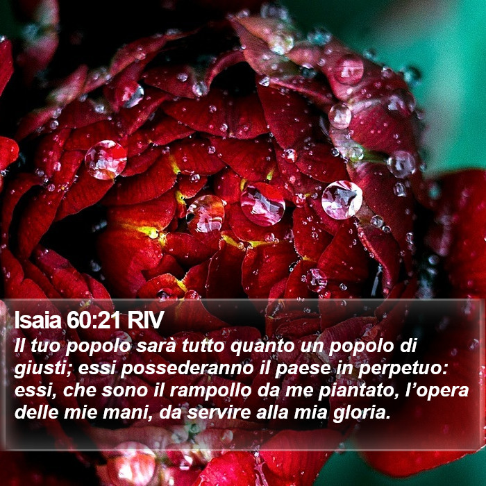Isaia 60:21 RIV Bible Study